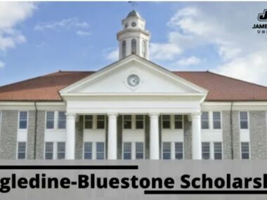 Dingledine-Bluestone Scholarships