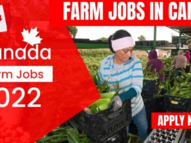 Farm jobs in Canada
