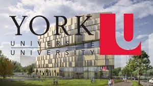York University Scholarships 2024