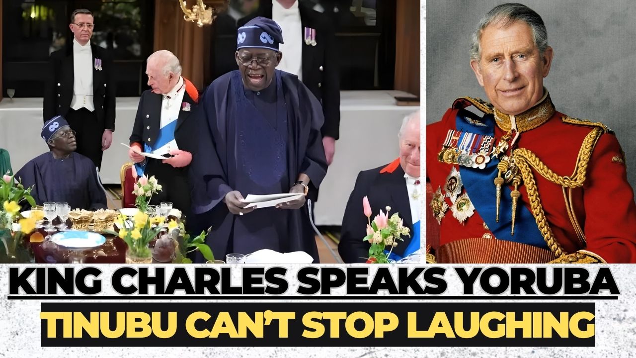 19854039_thumbnailtemplates14_jpeg45ca10103514ff22224bc7f72a3cd26c