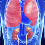 Abuja Doctor, Fertility Clinic Arraigned Over Alleged Fraud and Sale of Embryos