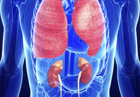 Abuja Doctor, Fertility Clinic Arraigned Over Alleged Fraud and Sale of Embryos