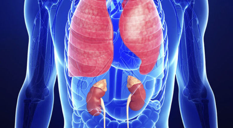 This May Be Why You Are Killing Your Kidney and Lungs