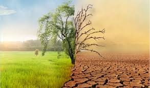 Climate Change and Its Impact on the Coming Years